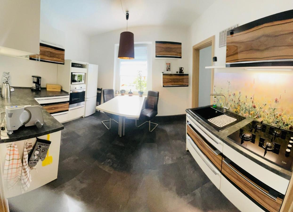 Ferienwohnung Ziegenschweiz Auerbach  Εξωτερικό φωτογραφία