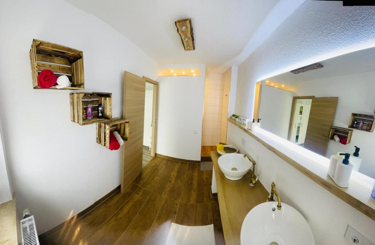 Ferienwohnung Ziegenschweiz Auerbach  Εξωτερικό φωτογραφία